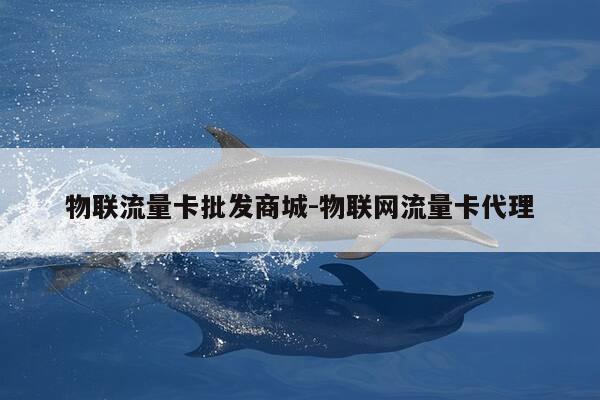 物联流量卡批发商城-物联网流量卡代理-第1张图片-优惠活动网