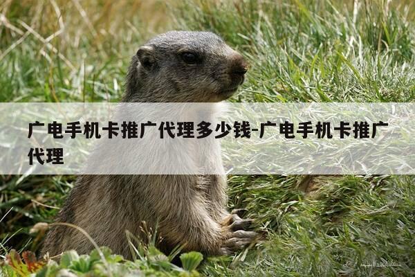 广电手机卡推广代理多少钱-广电手机卡推广代理-第1张图片-优惠活动网