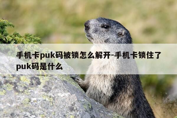 手机卡puk码被锁怎么解开-手机卡锁住了puk码是什么-第1张图片-优惠活动网