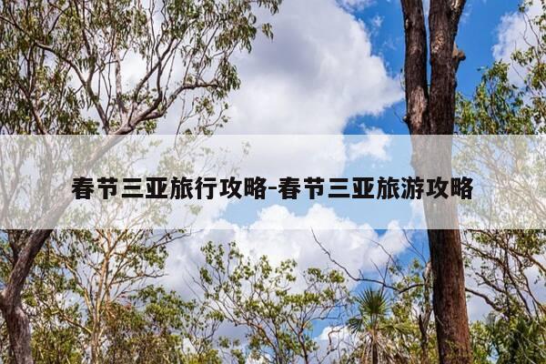 春节三亚旅行攻略-春节三亚旅游攻略-第1张图片-优惠活动网 春节三亚旅行攻略-春节三亚旅游攻略-第1张图片-优惠活动网