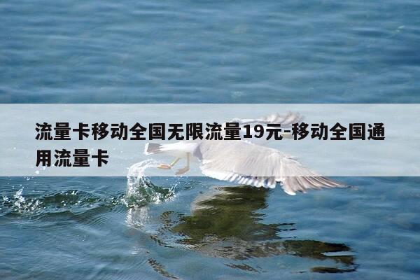 流量卡移动全国无限流量19元-移动全国通用流量卡-第1张图片-优惠活动网
