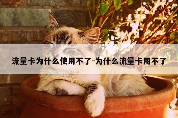 流量卡为什么使用不了-为什么流量卡用不了-第1张图片-优惠活动网