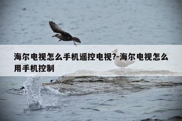 海尔电视怎么手机遥控电视?-海尔电视怎么用手机控制-第1张图片-优惠活动网 海尔电视怎么手机遥控电视?-海尔电视怎么用手机控制-第1张图片-优惠活动网