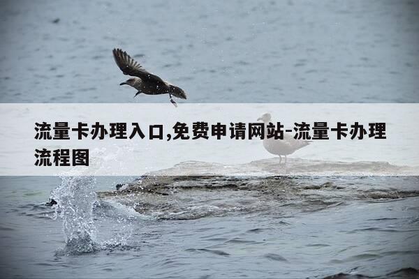 流量卡办理入口,免费申请网站-流量卡办理流程图-第1张图片-优惠活动网 流量卡办理入口,免费申请网站-流量卡办理流程图-第1张图片-优惠活动网