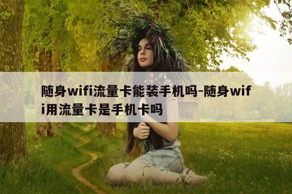 随身wifi流量卡能装手机吗-随身wifi用流量卡是手机卡吗-第1张图片-优惠活动网 随身wifi流量卡能装手机吗-随身wifi用流量卡是手机卡吗-第1张图片-优惠活动网