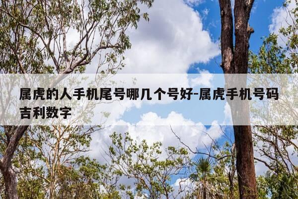 属虎的人手机尾号哪几个号好-属虎手机号码吉利数字-第1张图片-优惠活动网