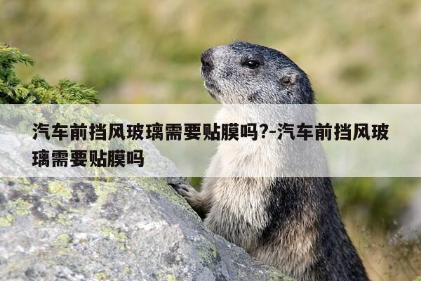 汽车前挡风玻璃需要贴膜吗?-汽车前挡风玻璃需要贴膜吗-第1张图片-优惠活动网
