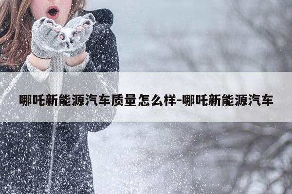 哪吒新能源汽车质量怎么样-哪吒新能源汽车-第1张图片-优惠活动网