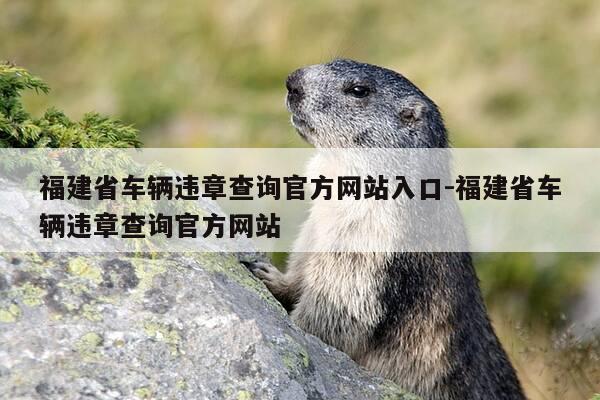 福建省车辆违章查询官方网站入口-福建省车辆违章查询官方网站-第1张图片-优惠活动网