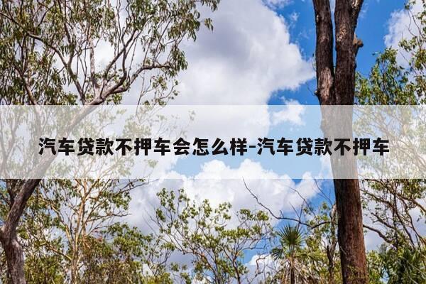汽车贷款不押车会怎么样-汽车贷款不押车-第1张图片-优惠活动网