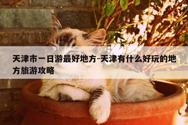 天津市一日游最好地方-天津有什么好玩的地方旅游攻略-第1张图片-优惠活动网 天津市一日游最好地方-天津有什么好玩的地方旅游攻略-第1张图片-优惠活动网