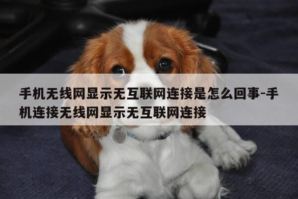 手机无线网显示无互联网连接是怎么回事-手机连接无线网显示无互联网连接-第1张图片-优惠活动网 手机无线网显示无互联网连接是怎么回事-手机连接无线网显示无互联网连接-第1张图片-优惠活动网