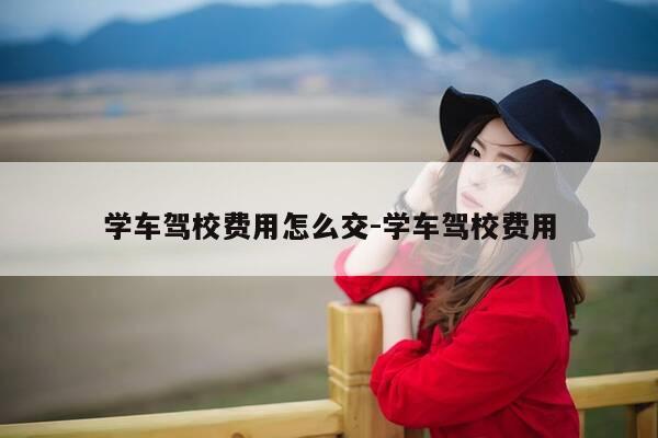 学车驾校费用怎么交-学车驾校费用-第1张图片-优惠活动网