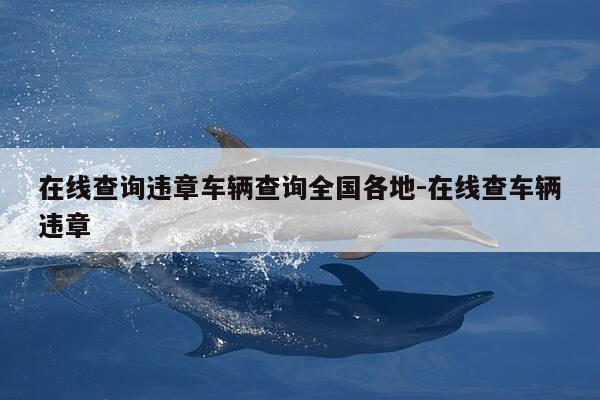 在线查询违章车辆查询全国各地-在线查车辆违章-第1张图片-优惠活动网