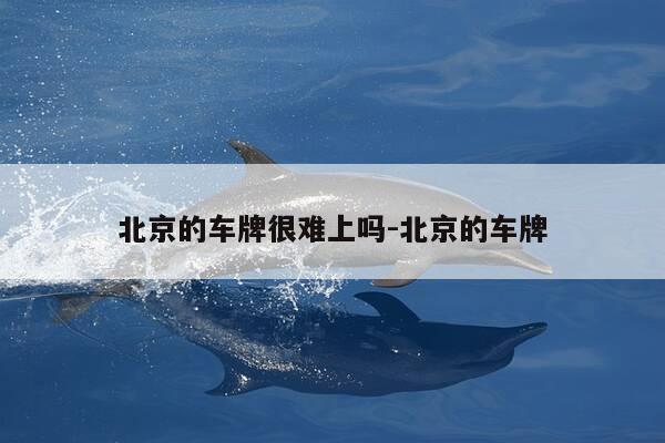 北京的车牌很难上吗-北京的车牌-第1张图片-优惠活动网 北京的车牌很难上吗-北京的车牌-第1张图片-优惠活动网