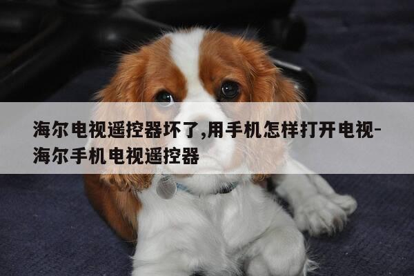 海尔电视遥控器坏了,用手机怎样打开电视-海尔手机电视遥控器-第1张图片-优惠活动网