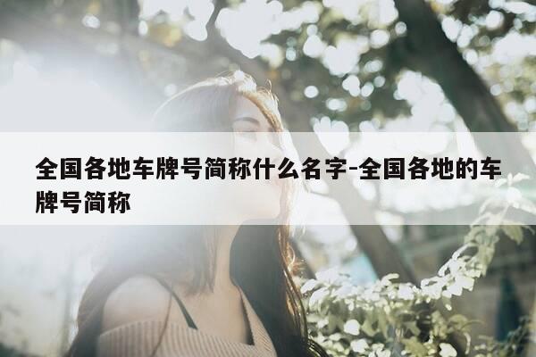 全国各地车牌号简称什么名字-全国各地的车牌号简称-第1张图片-优惠活动网