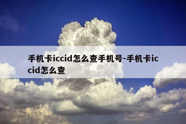 手机卡iccid怎么查手机号-手机卡iccid怎么查-第1张图片-优惠活动网