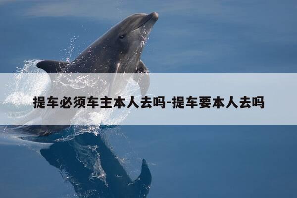 提车必须车主本人去吗-提车要本人去吗-第1张图片-优惠活动网 提车必须车主本人去吗-提车要本人去吗-第1张图片-优惠活动网