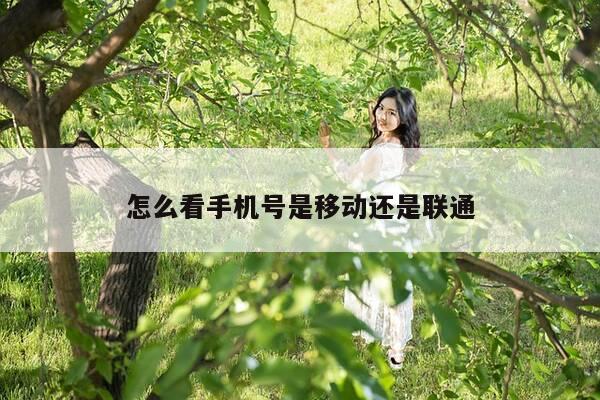 怎么看手机号是移动还是联通-第1张图片-优惠活动网