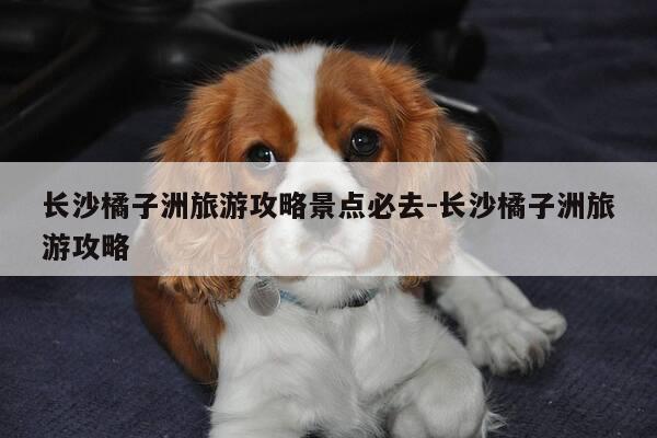 长沙橘子洲旅游攻略景点必去-长沙橘子洲旅游攻略-第1张图片-优惠活动网