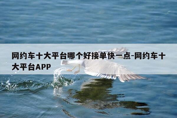 网约车十大平台哪个好接单快一点-网约车十大平台APP-第1张图片-优惠活动网