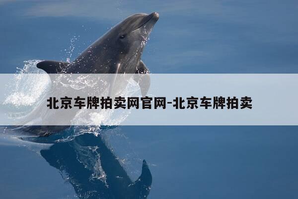 北京车牌拍卖网官网-北京车牌拍卖-第1张图片-优惠活动网 北京车牌拍卖网官网-北京车牌拍卖-第1张图片-优惠活动网