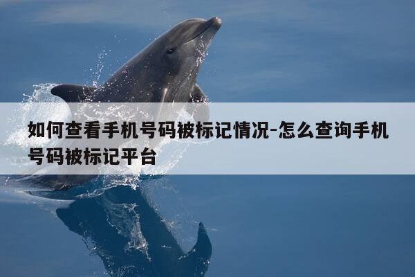 如何查看手机号码被标记情况-怎么查询手机号码被标记平台-第1张图片-优惠活动网