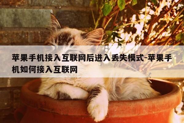 苹果手机接入互联网后进入丢失模式-苹果手机如何接入互联网-第1张图片-优惠活动网