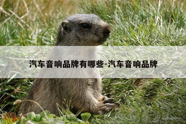 汽车音响品牌有哪些-汽车音响品牌-第1张图片-优惠活动网 汽车音响品牌有哪些-汽车音响品牌-第1张图片-优惠活动网