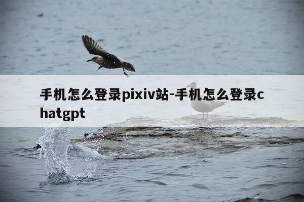 手机怎么登录pixiv站-手机怎么登录chatgpt-第1张图片-优惠活动网