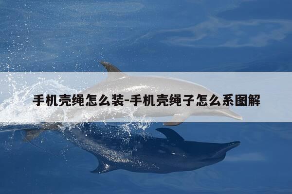 手机壳绳怎么装-手机壳绳子怎么系图解-第1张图片-优惠活动网 手机壳绳怎么装-手机壳绳子怎么系图解-第1张图片-优惠活动网