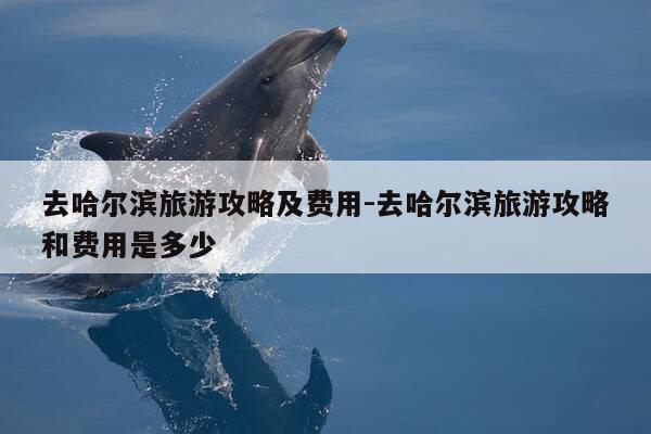 去哈尔滨旅游攻略及费用-去哈尔滨旅游攻略和费用是多少-第1张图片-优惠活动网 去哈尔滨旅游攻略及费用-去哈尔滨旅游攻略和费用是多少-第1张图片-优惠活动网