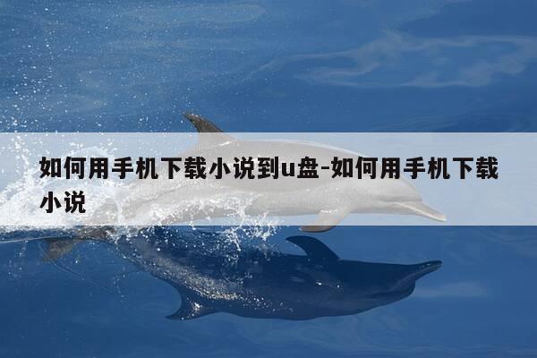 如何用手机下载小说到u盘-如何用手机下载小说-第1张图片-优惠活动网