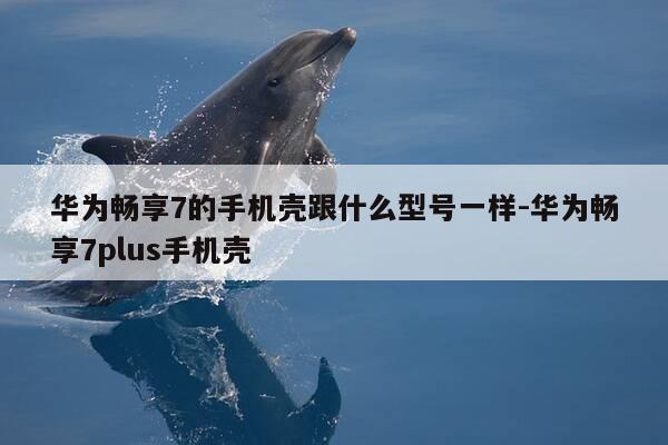华为畅享7的手机壳跟什么型号一样-华为畅享7plus手机壳-第1张图片-优惠活动网