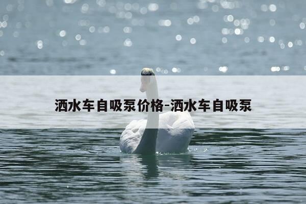 洒水车自吸泵价格-洒水车自吸泵-第1张图片-优惠活动网
