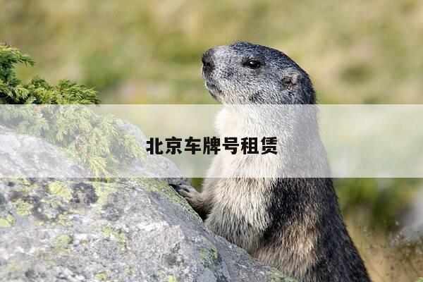 北京车牌号租赁-第1张图片-优惠活动网
