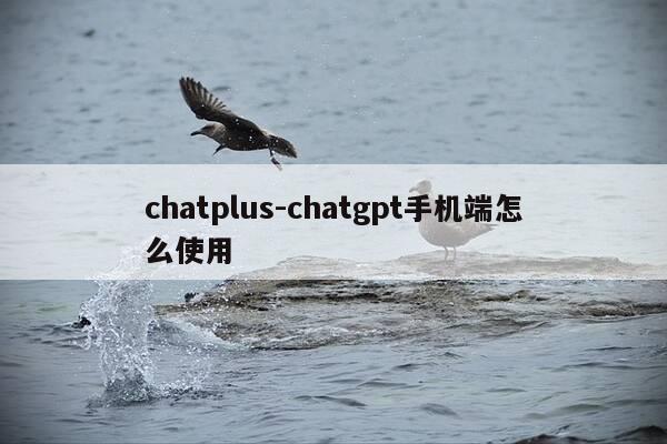 chatplus-chatgpt手机端怎么使用-第1张图片-优惠活动网 chatplus-chatgpt手机端怎么使用-第1张图片-优惠活动网