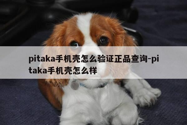 pitaka手机壳怎么验证正品查询-pitaka手机壳怎么样-第1张图片-优惠活动网