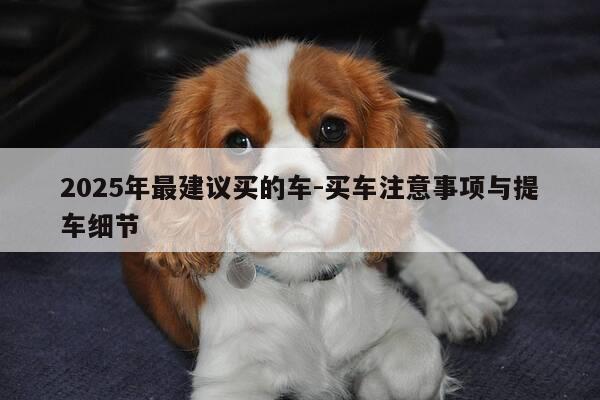 2025年最建议买的车-买车注意事项与提车细节-第1张图片-优惠活动网 2025年最建议买的车-买车注意事项与提车细节-第1张图片-优惠活动网