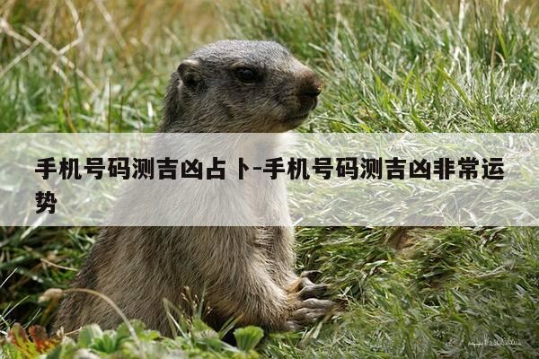 手机号码测吉凶占卜-手机号码测吉凶非常运势-第1张图片-优惠活动网 手机号码测吉凶占卜-手机号码测吉凶非常运势-第1张图片-优惠活动网