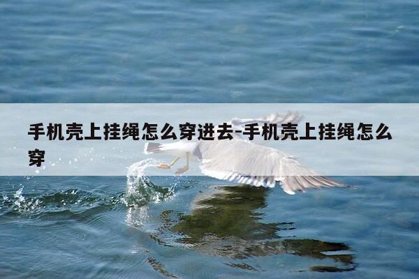 手机壳上挂绳怎么穿进去-手机壳上挂绳怎么穿-第1张图片-优惠活动网