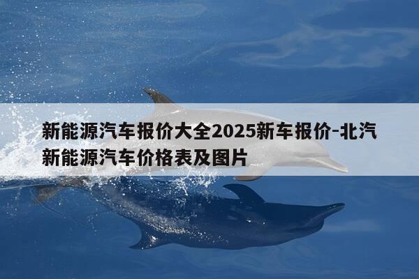 新能源汽车报价大全2025新车报价-北汽新能源汽车价格表及图片-第1张图片-优惠活动网