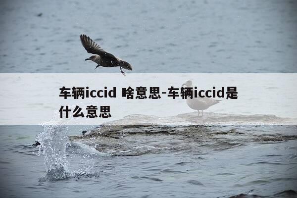 车辆iccid 啥意思-车辆iccid是什么意思-第1张图片-优惠活动网
