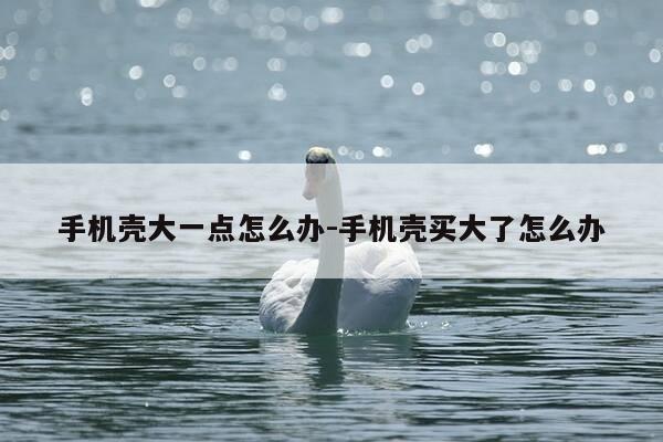 手机壳大一点怎么办-手机壳买大了怎么办-第1张图片-优惠活动网