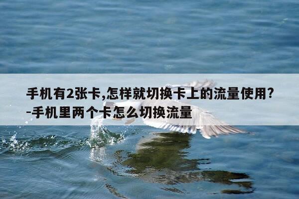 手机有2张卡,怎样就切换卡上的流量使用?-手机里两个卡怎么切换流量-第1张图片-优惠活动网