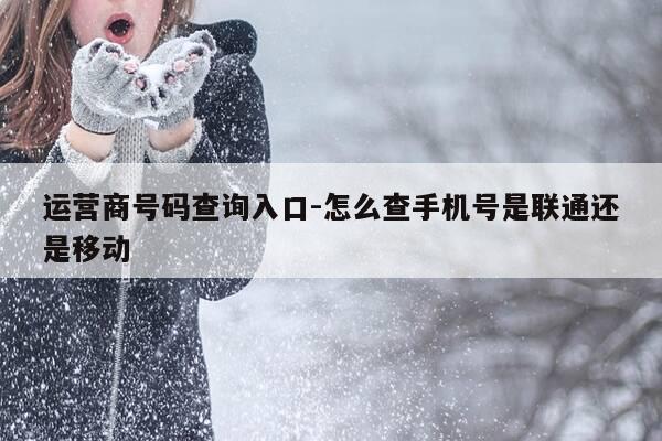 运营商号码查询入口-怎么查手机号是联通还是移动-第1张图片-优惠活动网
