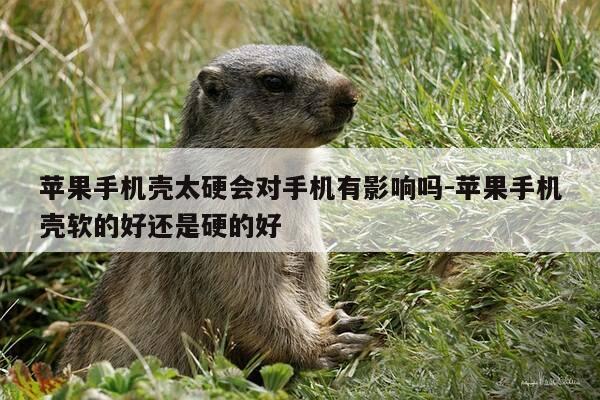 苹果手机壳太硬会对手机有影响吗-苹果手机壳软的好还是硬的好-第1张图片-优惠活动网