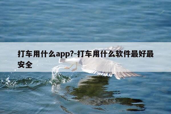 打车用什么app?-打车用什么软件最好最安全-第1张图片-优惠活动网
