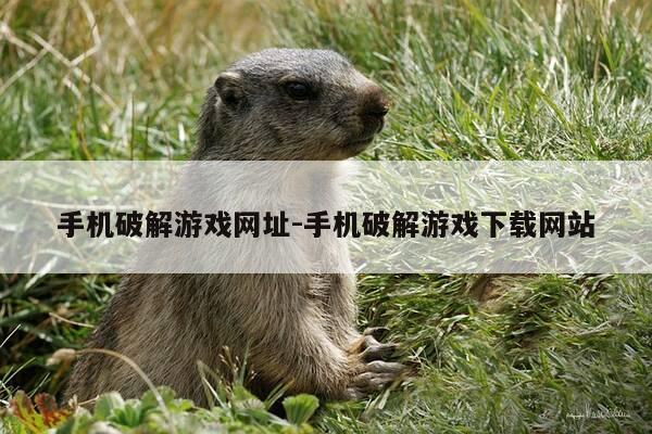 手机破解游戏网址-手机破解游戏下载网站-第1张图片-优惠活动网